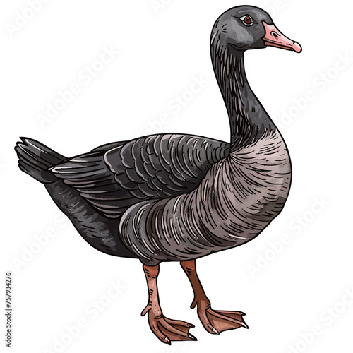 a drawing of a goose with a black beak and a white outline