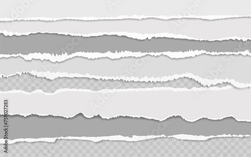 Set of grey scrapbook torn note paper, ripped pieces, memo sheets or notebook shred. Paper scraps with torn edges vector illustration. Design for social media, banner, poster