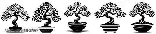 set of Japanese bonsai trees in pots, Asian art and culture, black vector graphic