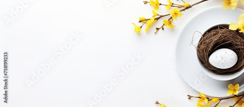 Colorful Easter Eggs Nestled Among Bright Forsyth Flowers on Pure White Background
