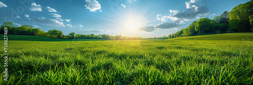 grass on green meadow at sunrise landscape panorama with blue sky