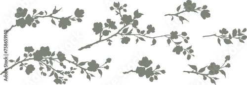 Spring set of flowering branches. Hand drawn sakura branch with flowers in silhouette style. Vector botanical isolated illustration in black color.