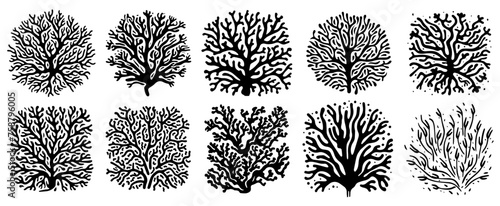 abstract patterns, irregular shapes, seaweed and coral reefs, black vector graph