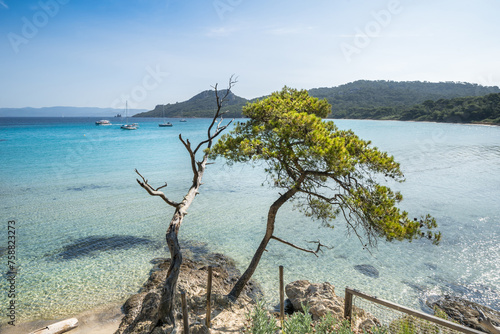 Beautiful Notre Dame beach (Plage Notre-Dame) on Porquerolles island (l'île de Porquerolles), France