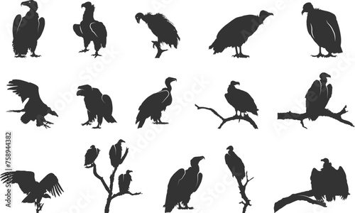 Vulture silhouette, Sitting vulture silhouette, Vulture svg, Clipart vulture silhouette, Vulture Vulture vector illustration.