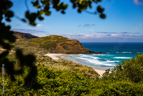 panorama of sandfly bay, famous beach with wildlife on otago peninsula near dunedin, new zealand south island