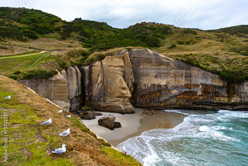 panorama of famous tunnel beach near dunedin and otago peninsula, new zealand south island; hidden beach surrounded with large cliffs