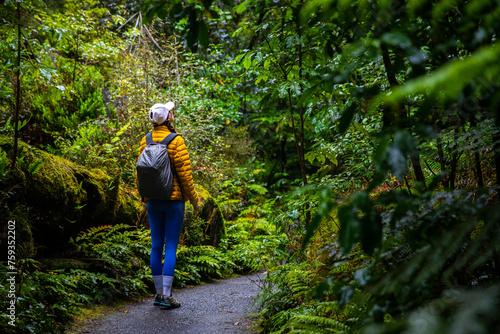 adventurous hiker girl walking through lush rainforest full of large tree ferns in mount aspiring national park, west coast of new zealand south island,otago, trail to running creek falls