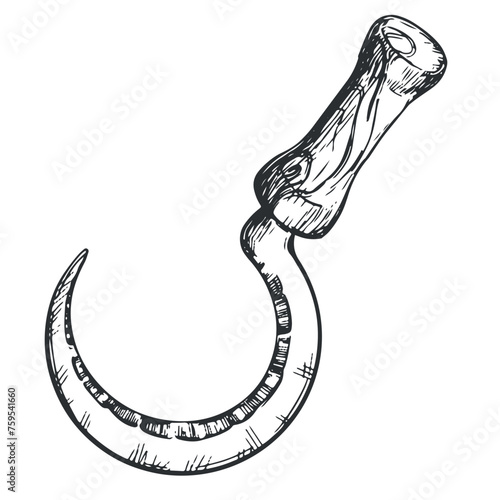 Linear ink drawing of sickle icon. Vector sickle for cutting herb harvest in vintage engraving technique isolated on white background. An ancient rural instrument.