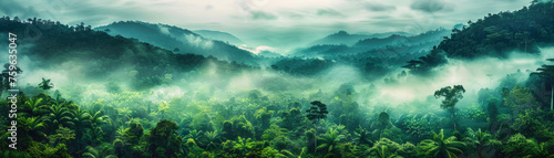 Jungle, tropical forest, morning fog, top view.