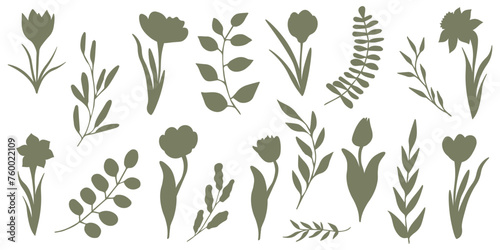 Set of elegant silhouettes of flowers, branches and leaves. Thin hand drawn vector botanical elements 