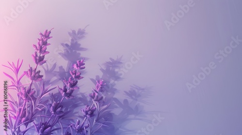 A clean background image with a few fallen lavender flowers on the left for a computer desktop.