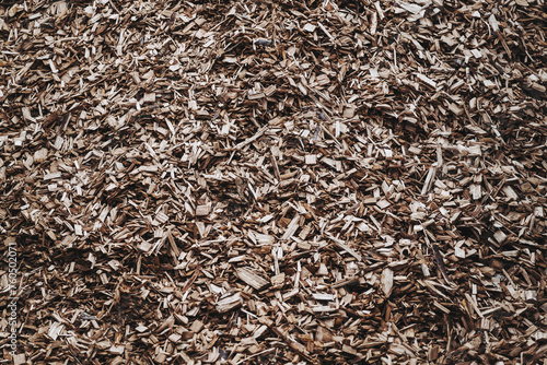 Copeaux de bois pour faire du paillage agricole - Texture macro matière organique