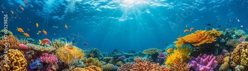 Ocean conservation efforts led by activists, utilizing nanotechnology to revive coral reefs