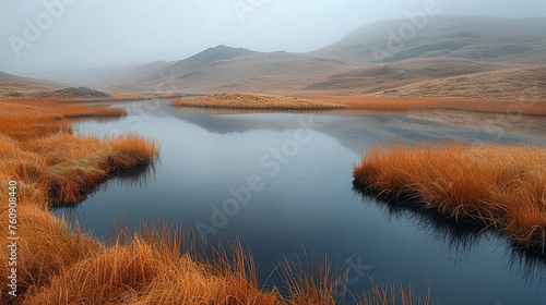 Highland Refuge: Heather Moors in Misty Mirror-like Serenity