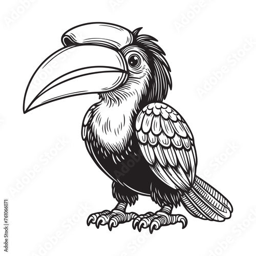 Line art of hornbill bird cartoon vector