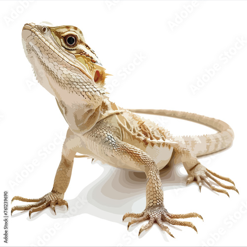 Elegant Lizard Clipart Clipart isolated on white background