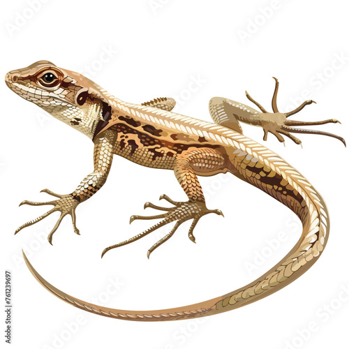 Elegant Lizard Clipart Clipart isolated on white background