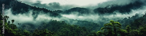 Tropical Rainforest Landscape Panorama