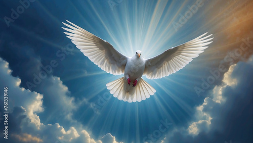 Titel: "Himmlische Botschaft: Weiße Taube im Strahlenkranz symbolisiert Pfingsten