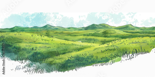 Green grass field on small hills. Meadow, alkali, lye, grassland, sketch illustration.