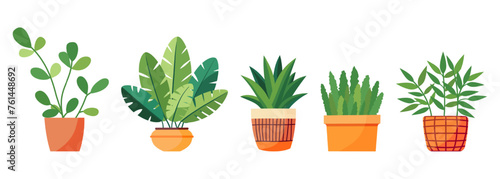 Set of house plants in a pot. Flat style. Green plant in a flower pot for cozy decoration of home, garden, veranda, balcony, terrace, office, living room, patio. Vector illustration.