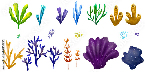 Marine set with algae and corals. Undersea world. Children's hand drawn illustration on isolated background