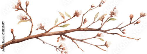 Watercolor illustration willow branches and tree branch without leaves. Brown dry straight twig. Isolated on a white background. Spring floral easter elements. For holiday print design