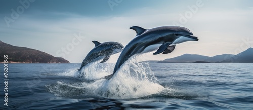 Dolphins leaping in front of a mountain