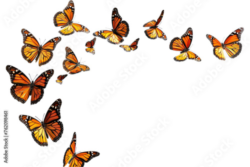 set of butterflies