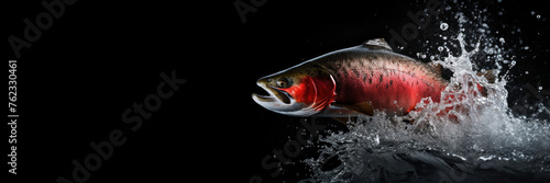 Large red salmon or trout jumping out of the water on a black background.