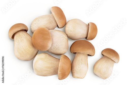 Fresh porcini cep mushroom isolated on white background with full depth of field. Top view. Flat lay