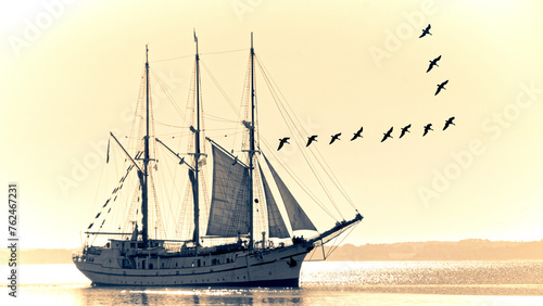 Segelschiff und Graugänse