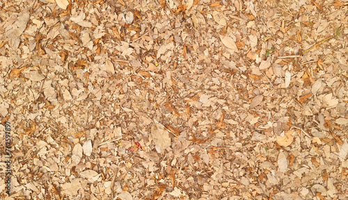 brown autumn leaves on the ground used as background. sepia tone backround image of fallen autumn leaves for seasonal use concept. outdoor garden floor background. space for text.