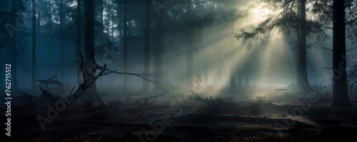 A dense forest covered in thick fog, with numerous trees looming through the mist. The fog obscures visibility, creating a mysterious and eerie atmosphere in the woodland. Banner. Copy space