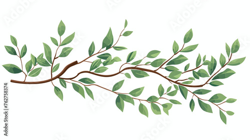 Branch with elongated leaves by hand engraving vect