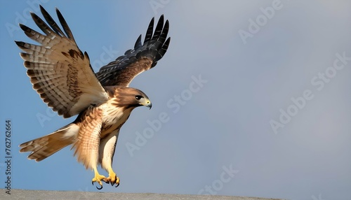 A Hawk With Its Wings Outstretched Catching The W Upscaled