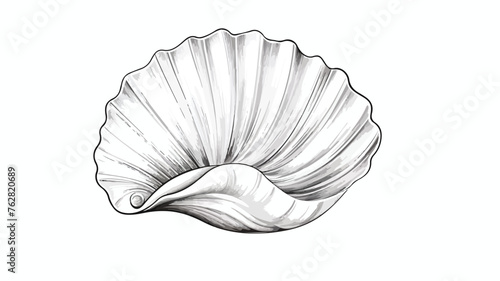 Elegant seashell with mollusk and pearl inside 