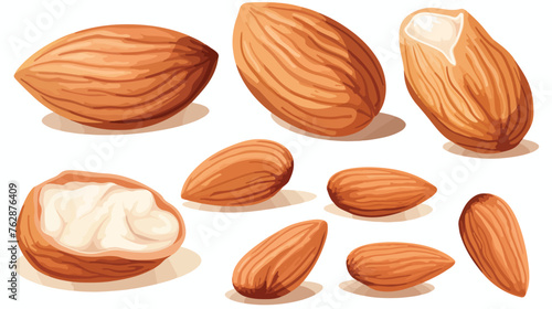 Whole and cut almond nuts vector illustration isola