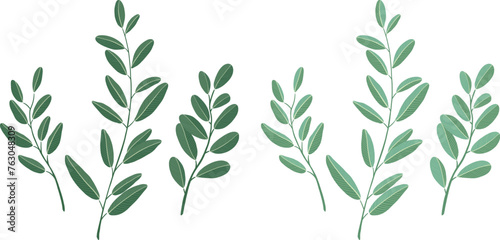 botanical leaves Hand-drawn vector illustration. White background. 
