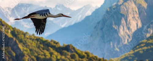Stork in flight against mountains