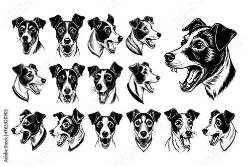 Side view of jack russell terrier dog head illustration design set