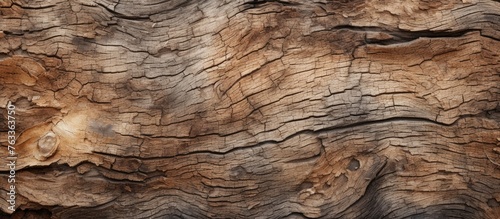 Close up of tree trunk knot with background of old bark