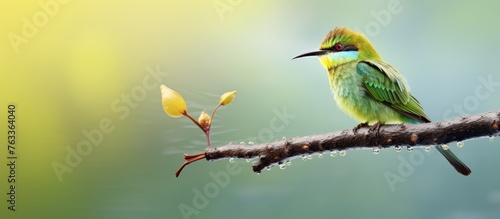 Bird perched on branch with water droplets
