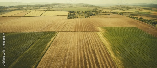 Field with various crops