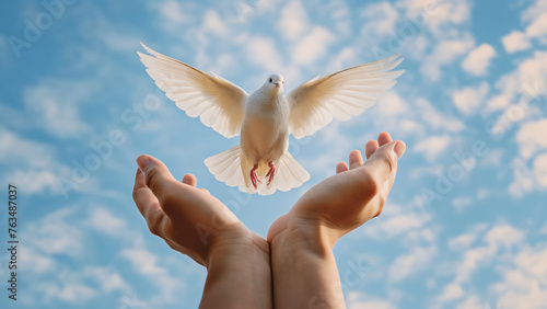 Weiße Taube fliegt aus offenen Händen in den blauen Himmel, Symbol für Ostertaube, Frieden, Freiheit