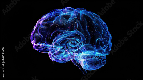 Enhanced cerebral cortex, detailed lobes of the brain, neural efficiency, brainwave activity