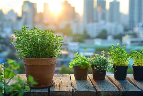 Transform Your Balcony into a Lush Urban Garden with Mirabelle's Green Plants