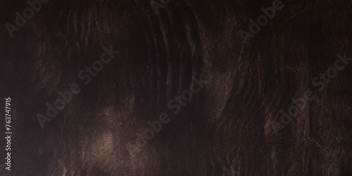 black wooden grunge texture background. texture of bark wood use as natural background. 