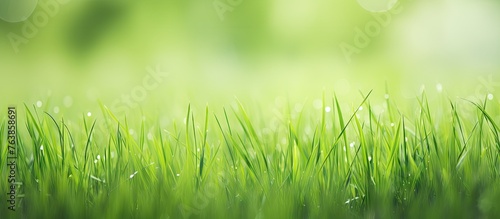 A close up of a green grass field with water droplets